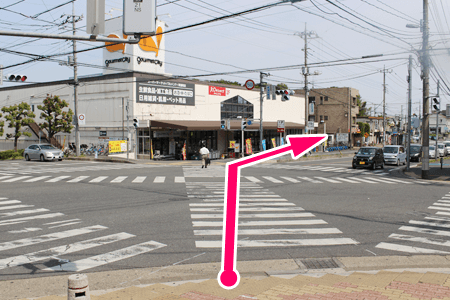 東浦和駅前のスクランブル交差点2